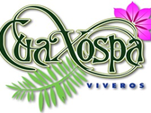 Cuaxospa Viveros