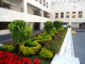 Trabajando por un Jardín Verde