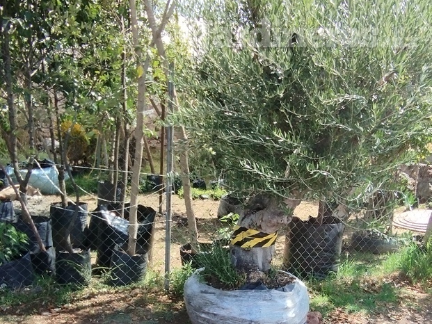 IMG_20240530_104546.jpg
