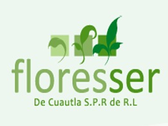 Floresser De Cuautla S.P.R. de R.L.