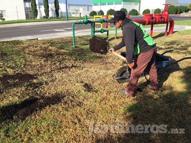 Retape de pasto