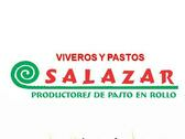 Vivero Salazar