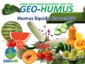 Geohumus Abono Fertilizante Liquido De Lombriz