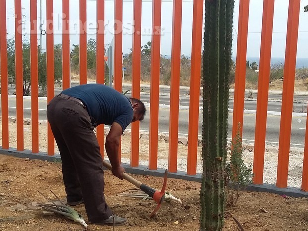 Diseño y Construcción de Jardines