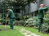 Jardineros en Guadalajara