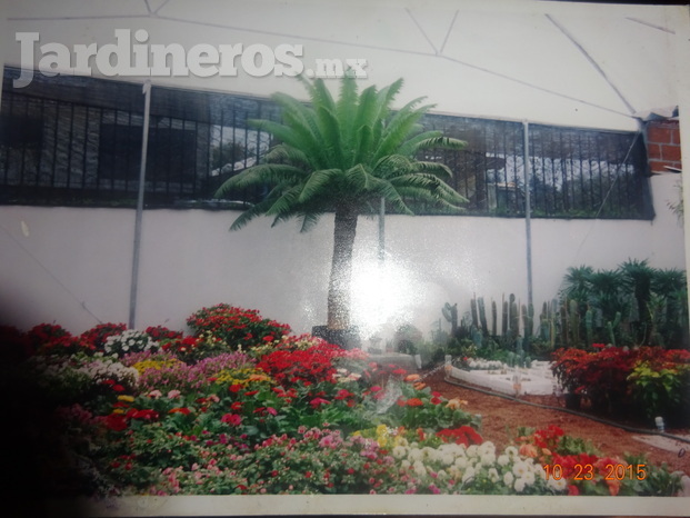 Jardines unidos mexicanos 