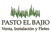 Pasto El Bajio