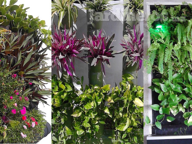 Jardines verticales, naturales y artificiales