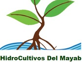 Hidro Cultivos Del Mayab