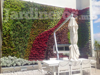 Jardín Vertical / Muro Verde hidropónico con riego automatizado