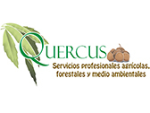 Logo Quercus