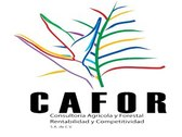 Cafor