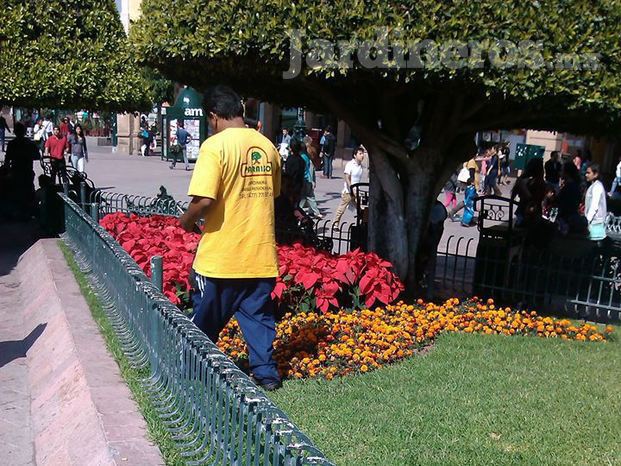 Paraíso Jardinería Y Riegos