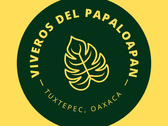 Viveros del Papaloapan