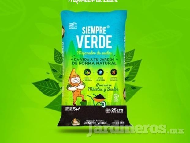 Siempre Verde