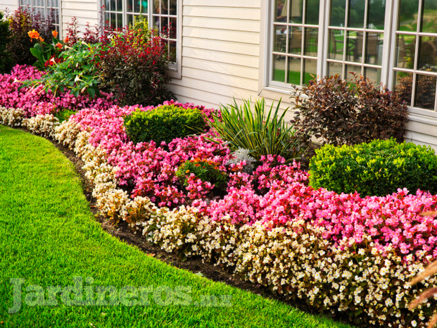 Jardineria y paisajismos 