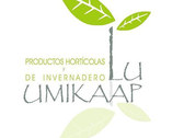 Productos Hortícolas Y De Invernadero Luumikaap