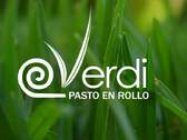 Verdi Pasto en Rollo