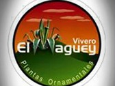 vivero el maguey