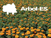 Vivero San Lorenzo*Arbol-ES