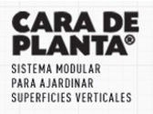 Cara De Planta