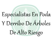 Especialistas En Poda Y Derribo De Árboles De Alto Riesgo