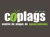 Coplags