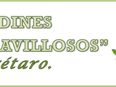 Logo Jardines Maravillosos.