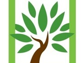 Yokol Green Jardinería empresarial