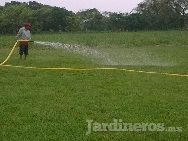 Producción De Pasto El Trébol