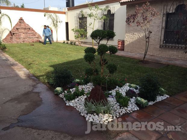 Jardinería y paisajísmo