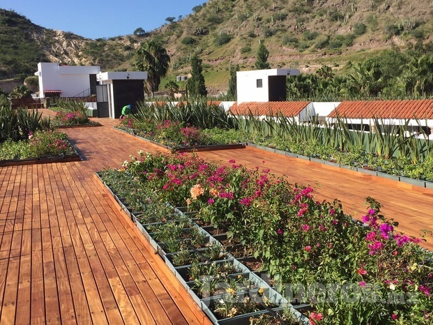 Roof garden con deck
