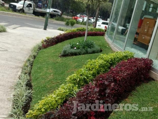 Mantenimiento y venta de plantas para tu jardín