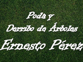 Poda Y Derribo De Árboles Ernesto Pérez