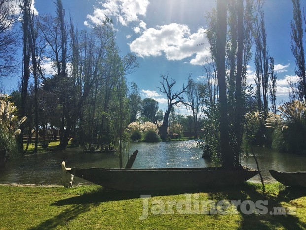 Estanque y jardines