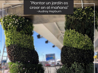 foto de columnas verdes_publicidad.jpeg