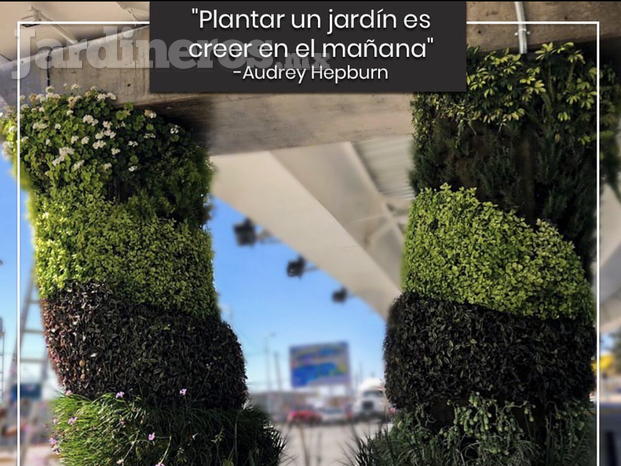 foto de columnas verdes_publicidad.jpeg