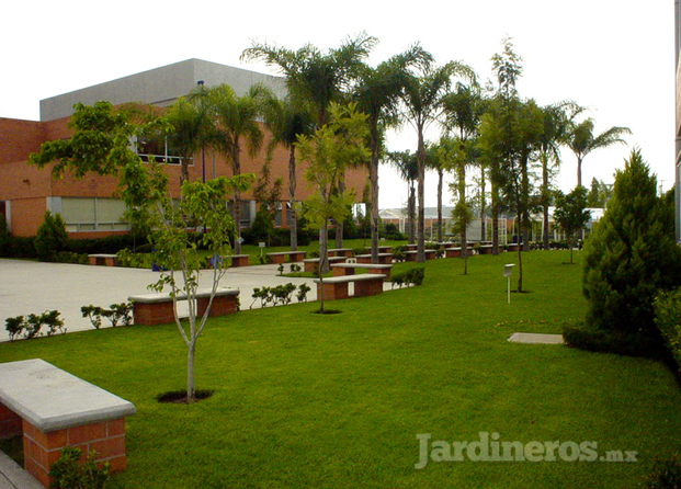 Jardín