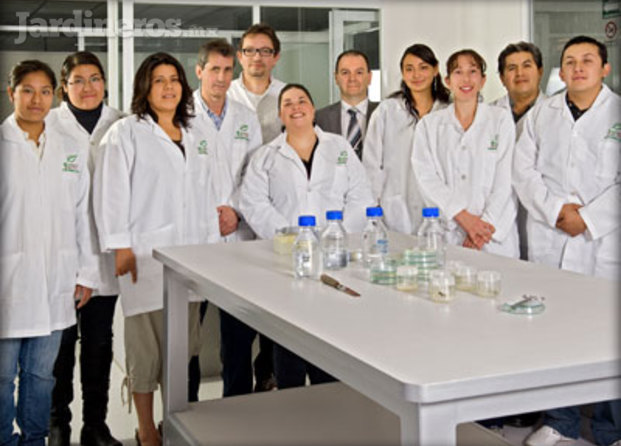 Grupo Biotec