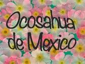 Logo Ocosahua Mexico