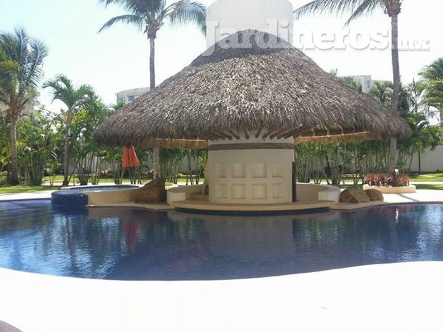 Palapa camino diamante 