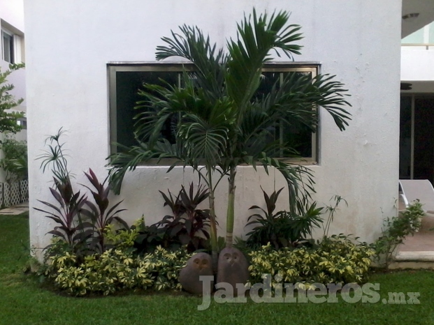 Su Jardín