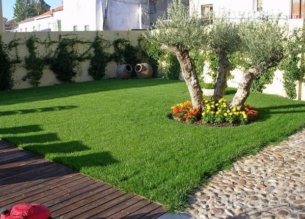 Jardin