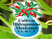 Cultivos Hidropónicos Mexicanos