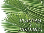 Plantas Y Jardines Cancún