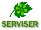 Serviser