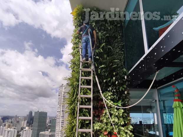 Muro verde en terraza de departamento