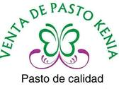 Venta De Pasto Kenia