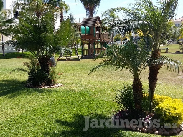 Jardinería Paraíso