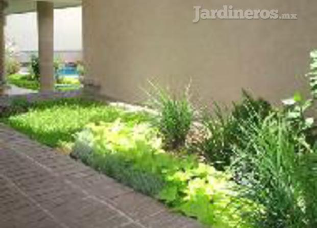 Garden Design